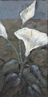 Calla II
