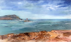 Puffin-Island